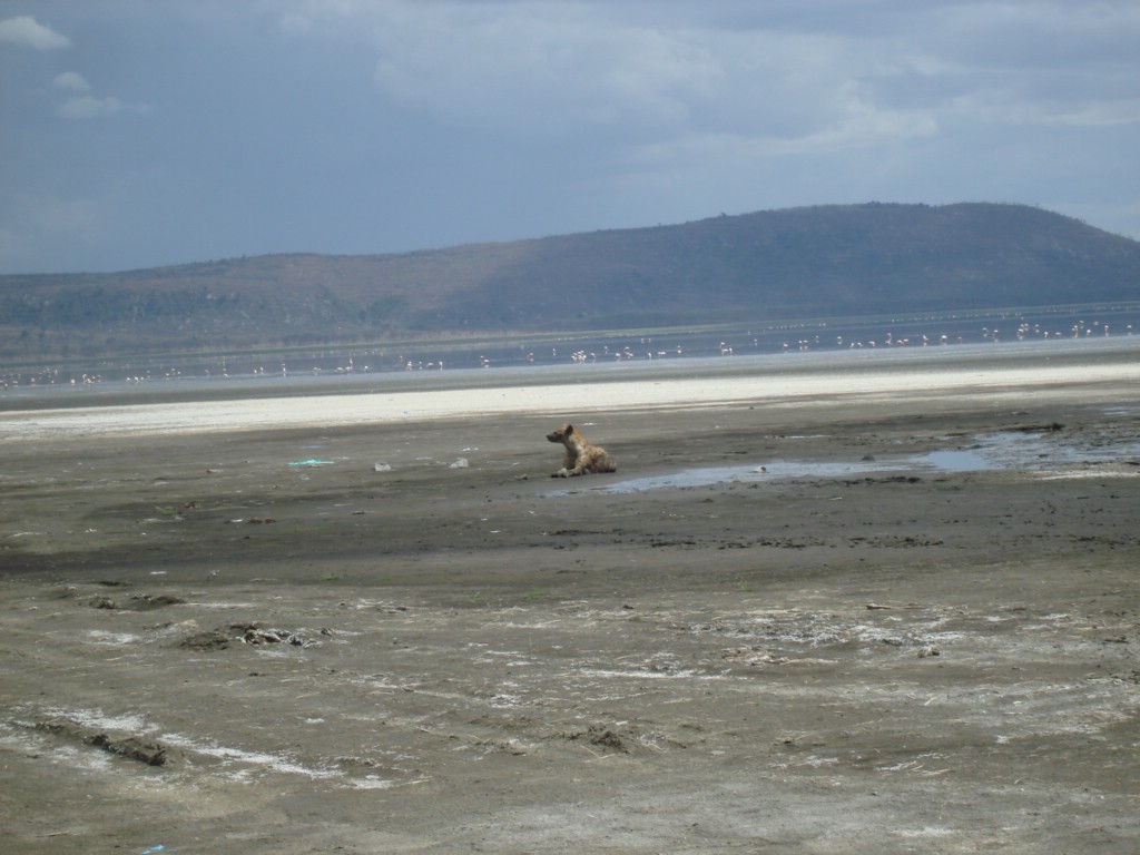 Africa 12-4 to 12-13-2009 230.JPG