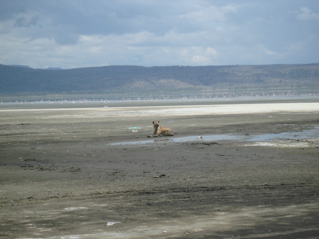 Africa 12-4 to 12-13-2009 231.JPG