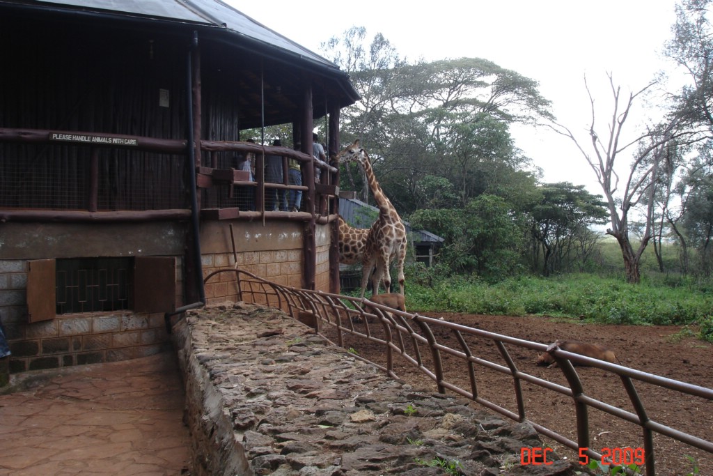 Africa 12-4 to 12-13-2009 289.JPG