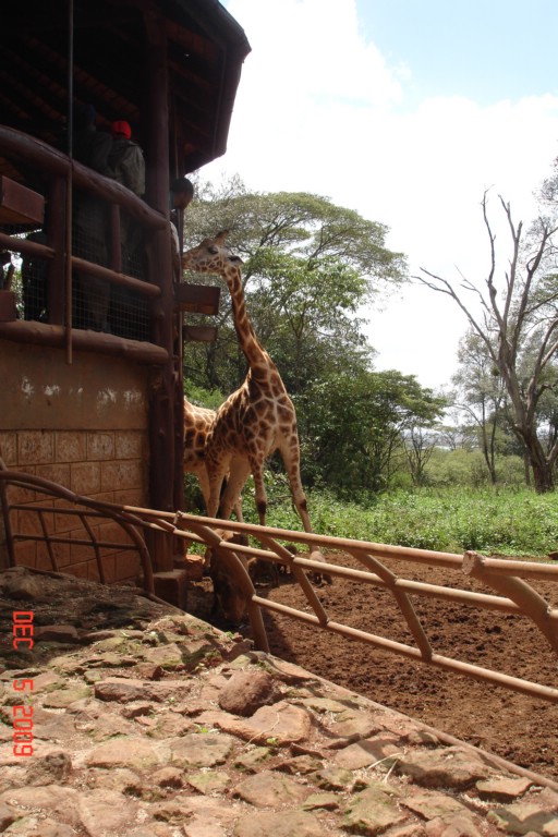 Africa 12-4 to 12-13-2009 295.JPG