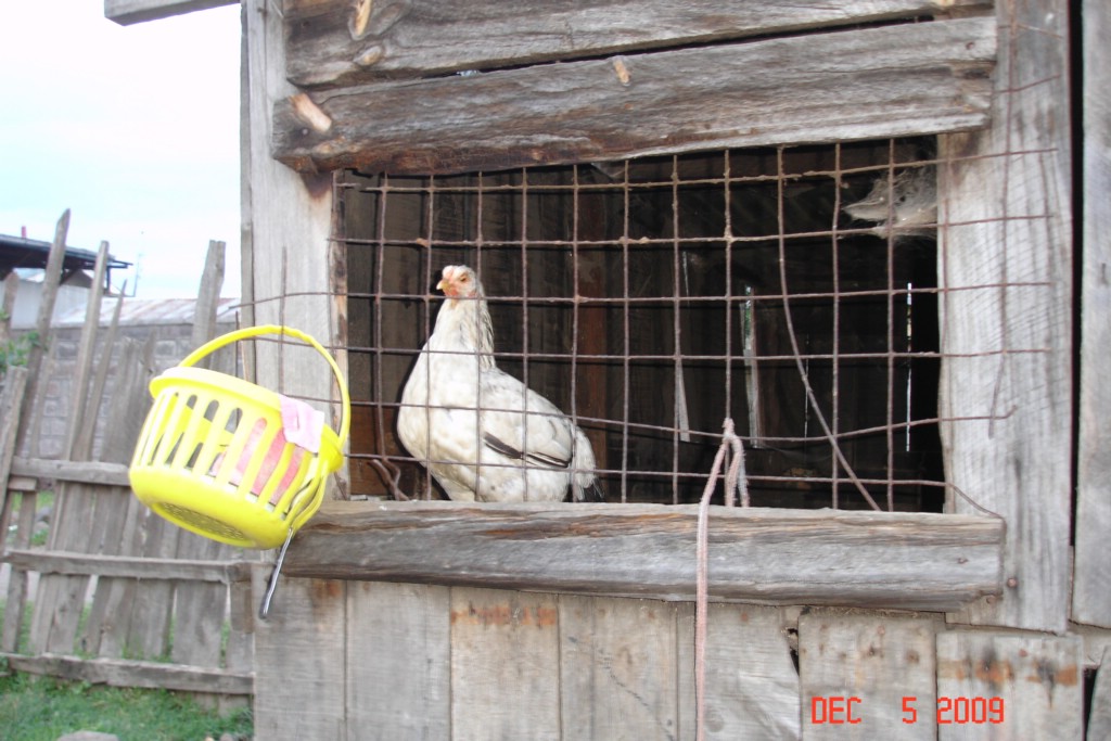 Africa 12-4 to 12-13-2009 461.JPG