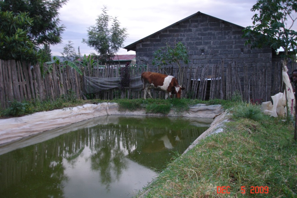 Africa 12-4 to 12-13-2009 464.JPG