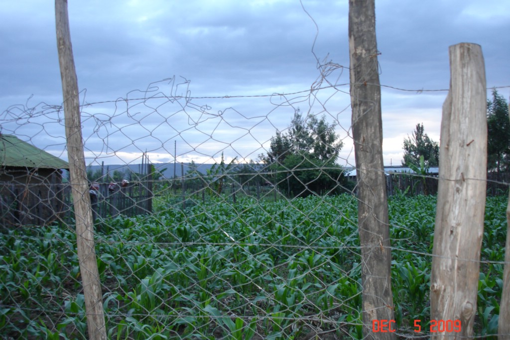 Africa 12-4 to 12-13-2009 466.JPG