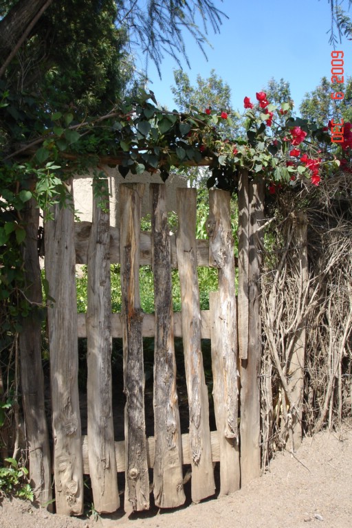 Africa 12-4 to 12-13-2009 499.JPG