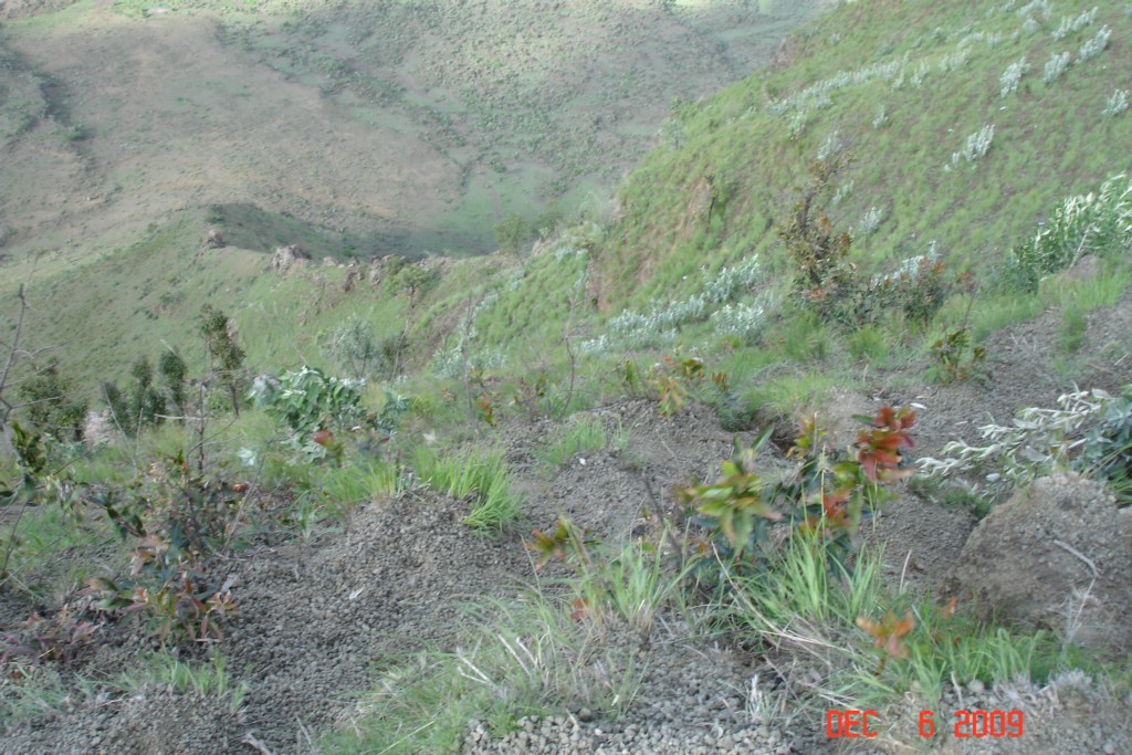 Africa 12-4 to 12-13-2009 536.JPG