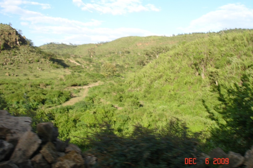 Africa 12-4 to 12-13-2009 552.JPG