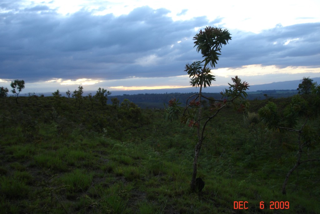 Africa 12-4 to 12-13-2009 594.JPG
