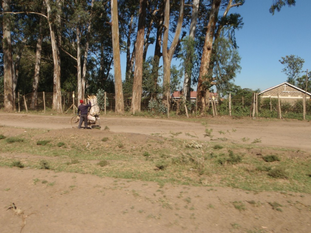 Africa 12-4 to 12-13-2009 689.JPG