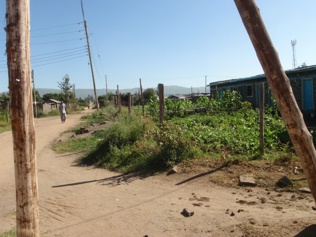 Africa 12-4 to 12-13-2009 695.JPG