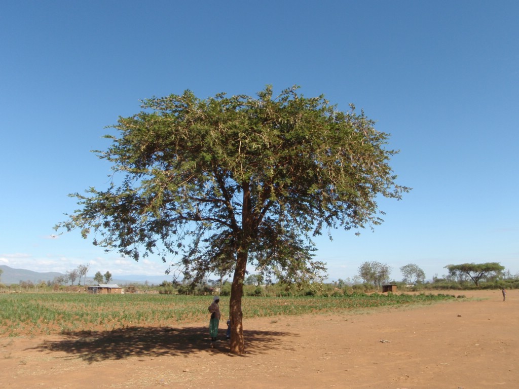 Africa 12-4 to 12-13-2009 851.JPG