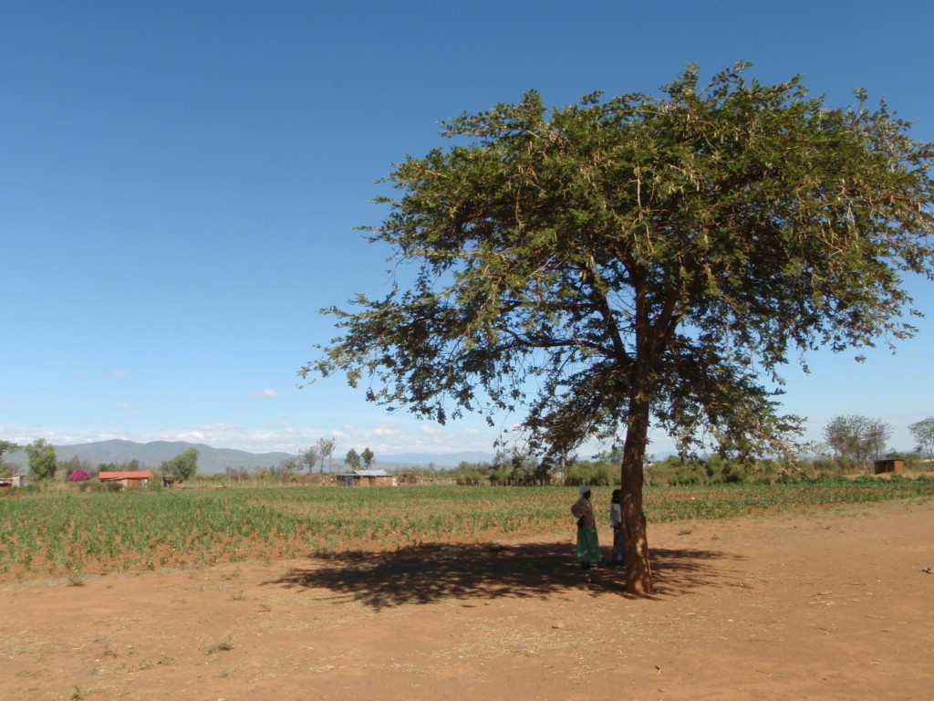 Africa 12-4 to 12-13-2009 852.JPG