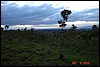 Africa 12-4 to 12-13-2009 594.JPG