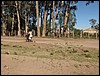 Africa 12-4 to 12-13-2009 689.JPG