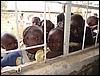Africa 12-4 to 12-13-2009 749.JPG