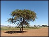 Africa 12-4 to 12-13-2009 851.JPG