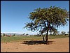 Africa 12-4 to 12-13-2009 852.JPG