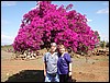 Africa 12-4 to 12-13-2009 882.JPG