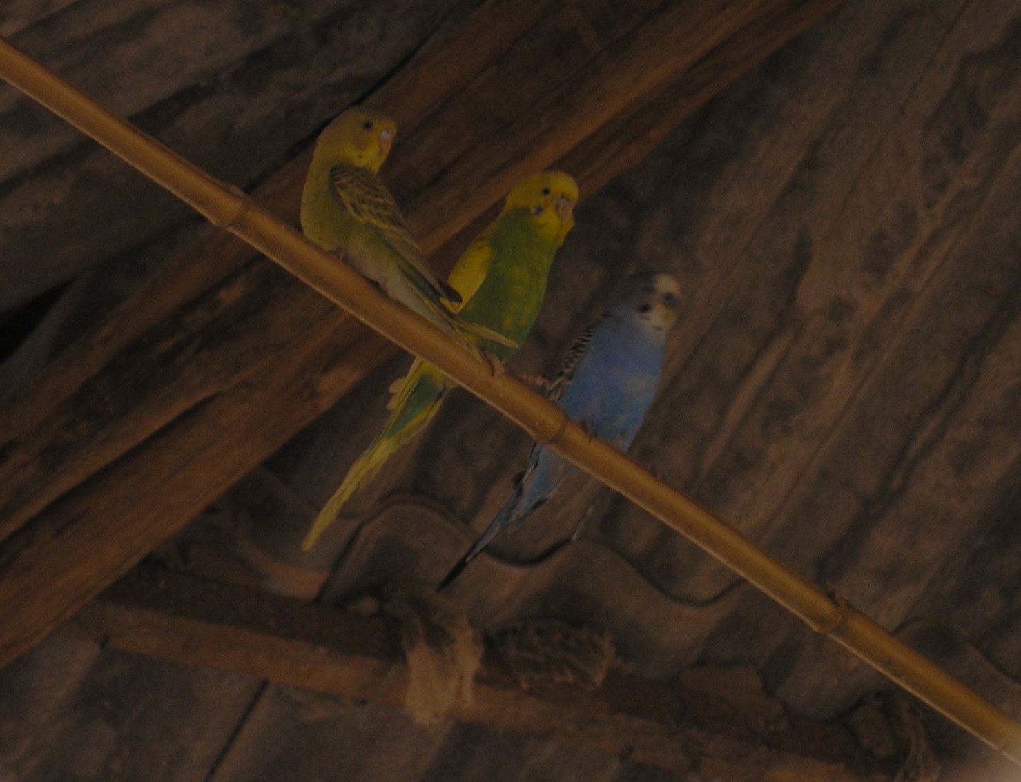 Picture 044.jpg