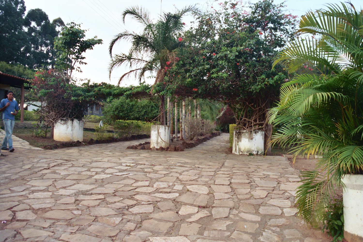 b001_28 (57).JPG