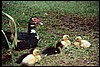 a001_36A (13).JPG