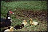 a001_36A (14).JPG