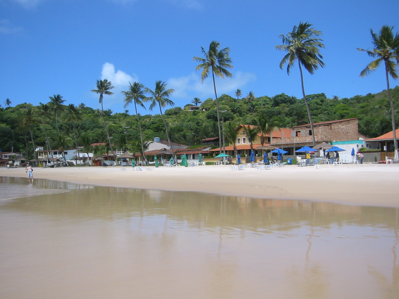 Brazil05 001.jpg
