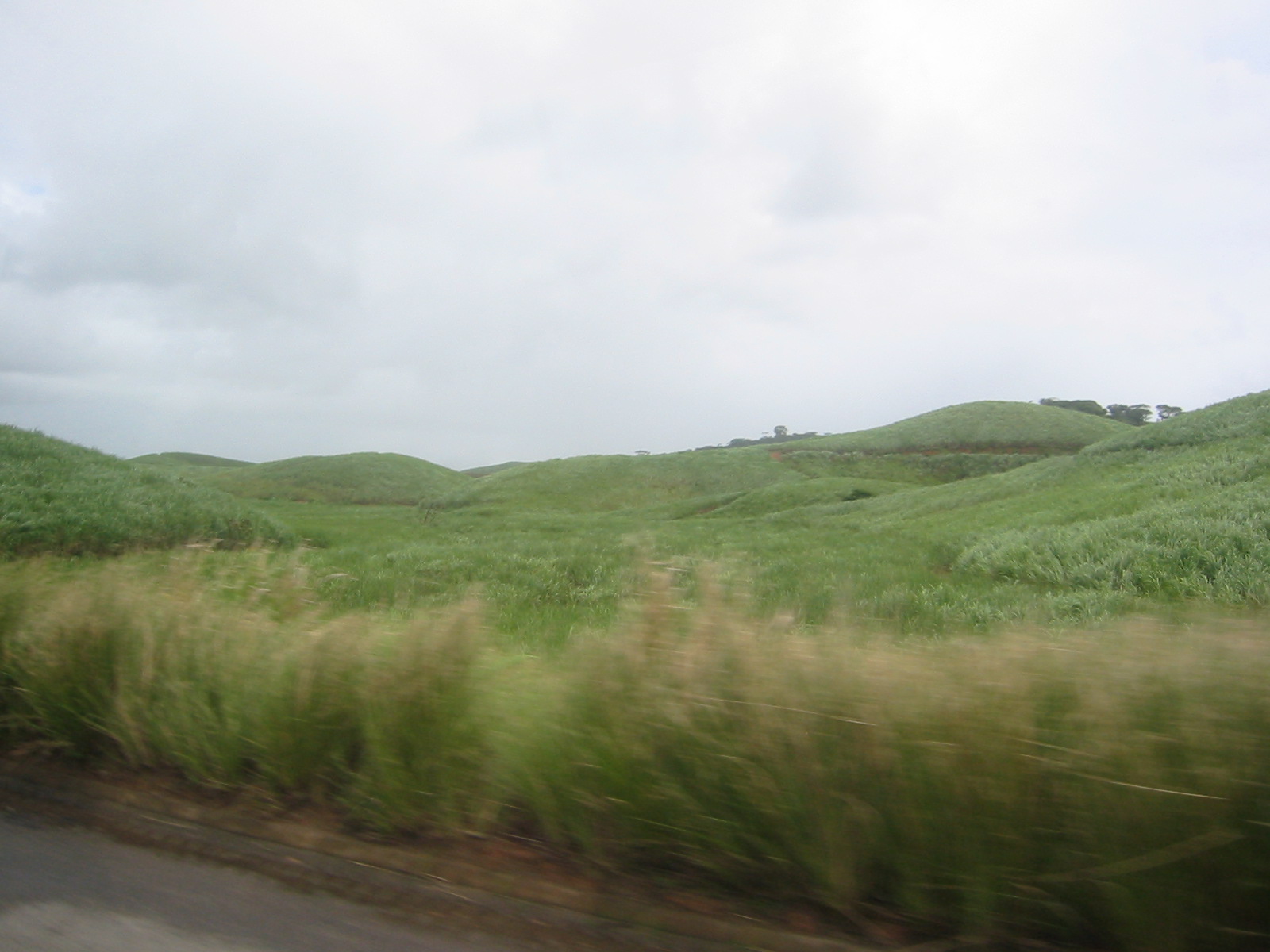 Brazil05 134.jpg