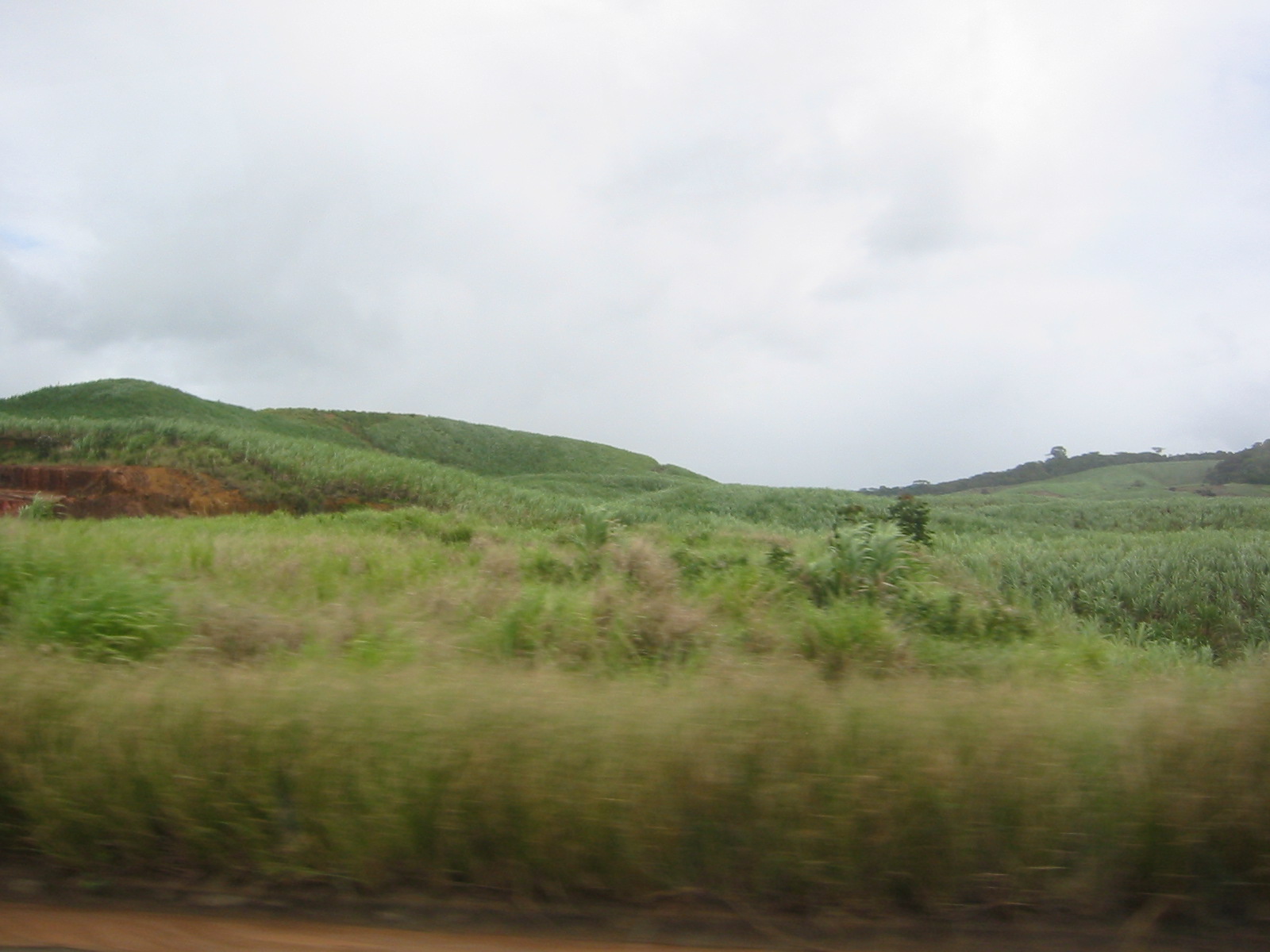 Brazil05 135.jpg