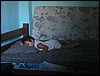 Brazil05 112.jpg