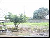 Brazil05 137.jpg