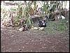 Brazil05 198.jpg