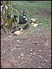 Brazil05 199.jpg