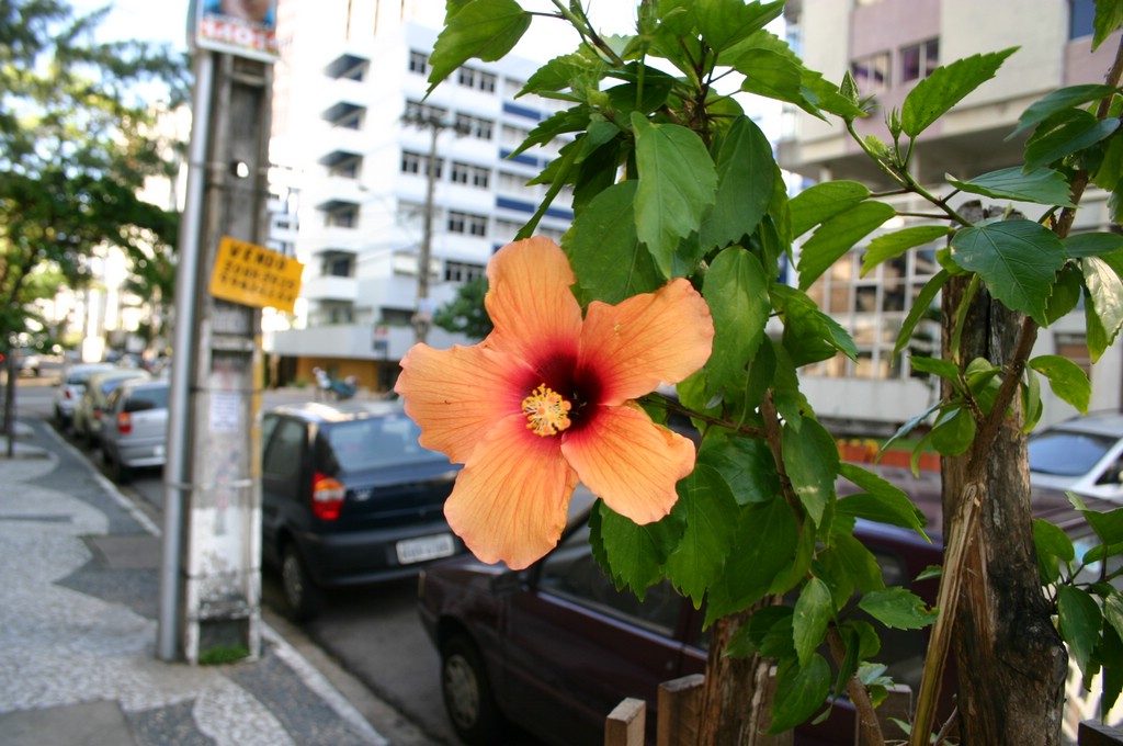 IMG_6269.JPG