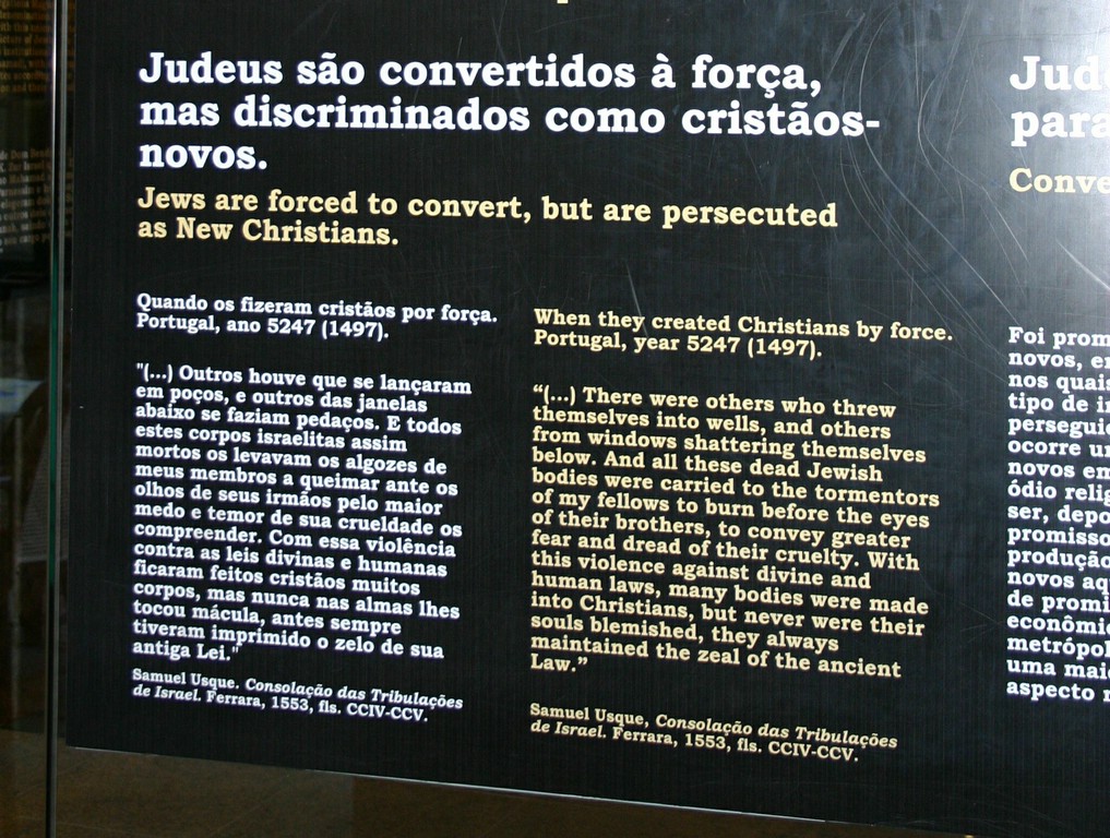 IMG_6507b.jpg