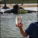 IMG_6426.JPG