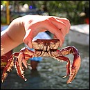 IMG_6433.JPG
