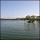 IMG_6435.JPG