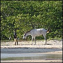 IMG_6440.JPG