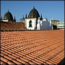 IMG_6495a.jpg
