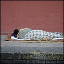 IMG_6498.JPG