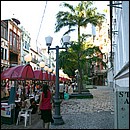 IMG_6503a.jpg