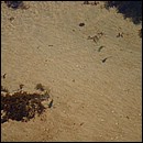 IMG_6533.JPG