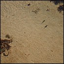 IMG_6535.JPG