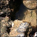 IMG_6537.JPG