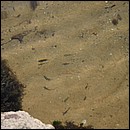 IMG_6538.JPG