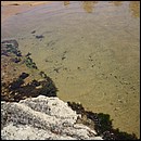 IMG_6539.JPG
