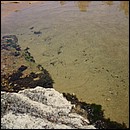 IMG_6540.JPG