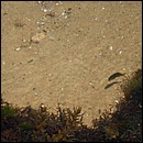 IMG_6541.JPG