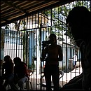 IMG_6605.JPG