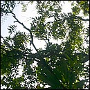 IMG_6689a.jpg